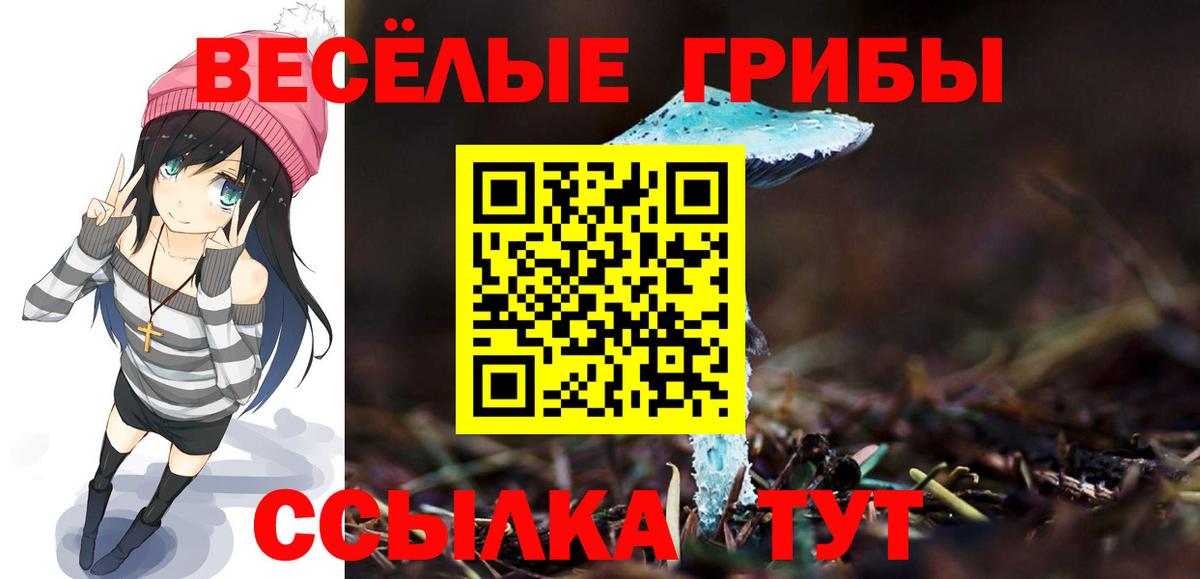 Псилоцибиновые грибы Magic Shrooms  Вход с VPN  Соликамск 